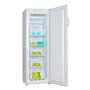 Vriezer-GS212.4A-+-NoFrost-RAI-3219